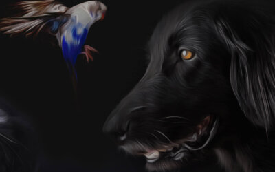 Belangrijk! Gewijzigde openingstijden voor het nieuwe jaar.